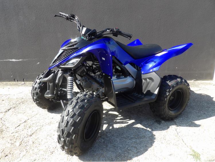 YAMAHA YFM RAPTOR 110
