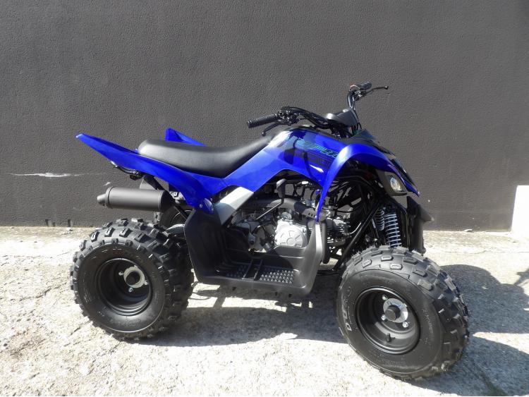 YAMAHA YFM RAPTOR 110