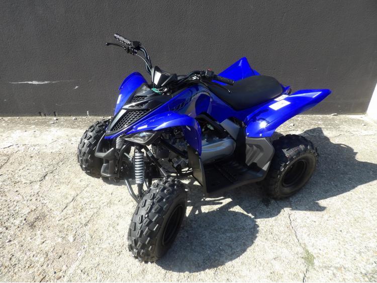 YAMAHA YFM RAPTOR 110